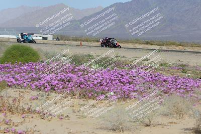 media/Feb-04-2023-SoCal Trackdays (Sat) [[8a776bf2c3]]/Turn 15 Inside Blooming (1050am)/